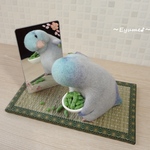 「あなたもどうぞ♥」～マメルリハインコ～