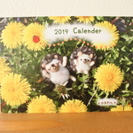 のあわんカレンダー２０１９