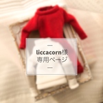 liccacorn様専用ページ 《オーダー》