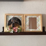 額縁犬お花付き  オーダー受付中❣️