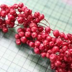 ペッパーベリーのドライフラワー（赤：20g）