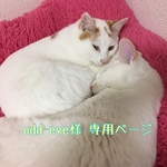 odd-eye様 *ﾟ専用ページ