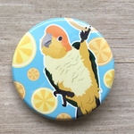 UC-17: 缶バッジ（シロハラインコ）