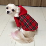 激カワ♡タータンチェックパーカー