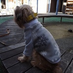 【犬服オリジナル】暖か・グレー・フリース雪柄袖付犬服　mrfw0239　#犬服通販　#ボストンテリア #フレンチブルドッグ　#パグ　#トイプードル　#チワワ　#ヨーキー