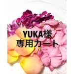 【YUKA様専用カート】