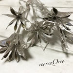 ニゲラ シルバー