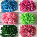 新色入荷❣️❣️色変え可♡ハーバリウム花材プリザーブドフラワーアジサイ6色小分け紫陽花
