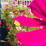 ★Kさま専用です！