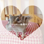 再販リクエスト⭐️izoyik53様専用⭐️