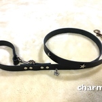 中型犬、大型犬用 リード デザイン手作り