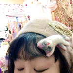 のびのびにゃんこヘアピン／白灰ハチワレ