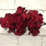 綺麗赤紫陽花❣️アンデスアジサイワイン小分けハーバリウム花材プリザーブドフラワー