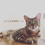エイミさま専用ページ