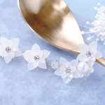 限定 ✿ クリスマスローズ雪の日のアクセサリー 2点set  ✿ 人気
