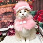 ニャンダフルにゃんこ(ピンク)