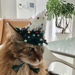 クリスマス帽子27