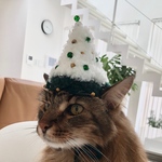 クリスマス帽子28