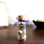 植物標本　Botanical Collection■the Lady Bouquet■淑女の青いアネモネのブーケ