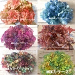 お試しセット❣️MIXカラー紫陽花小分け❣️ハーバリウム花材プリザーブドフラワー