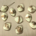 OVAL PAINT DESIGN BEADS