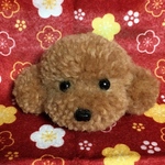 毛糸のぽんぽん トイプードルキーホルダー ・（純毛茶色・サイズ小）