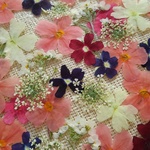 🌼再販🌼大好評お買い得小花セット🌼40輪