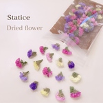 スターチス ５色 MIX♡
