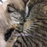 さゆ様 *ﾟ専用ページ