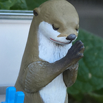  祈り(コツメカワウソ編)