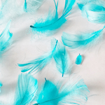 シェア花材☆カラーコキール 水色