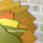 イチョウ 牛革はぎれ250g  [MM284] 姫路レザー クローム鞣し