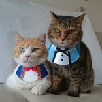 オシャレベストセット