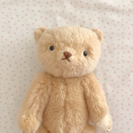 niimico. teddy   Andy