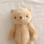niimico.  teddy  Brad