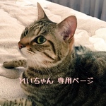 れいちゃん *ﾟ専用ページ