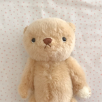 niimico. teddy Dan