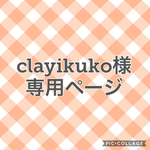 clayikuko様専用ページ    サンタ スタイ