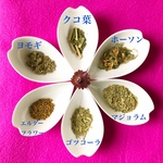 肩と腰に優しいブレンド　ティ－バッグタイプ　ハーブティー