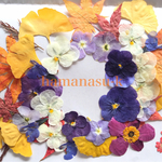 押花素材215　イチョウ　もみじ　ビオラ　日々草　秋明菊