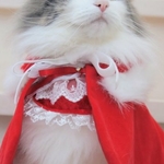 メルちゃんママさん専用ページ