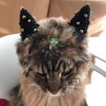 茶長毛猫帽子2（大きめ）