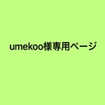 専用ページ