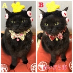 桜柄、和柄蝶ネクタイ猫ちゃんの首輪