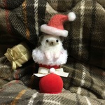 ハリネズミ（羊毛フェルト）クリスマス2