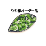 ※りむ様オーダー品※ アグラオネマピクタムの刺繍ブローチ