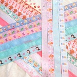 1m×20種、プリンセスやレースリボンなどのセット*⑅୨୧