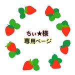 ちぃ★様専用ページ