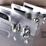 【銀の氷 earring】