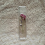  pen case